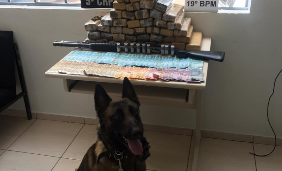Durante a Operação Metrópolis, PM apreende 33,5 quilos de maconha e uma espingarda no Oeste do estado