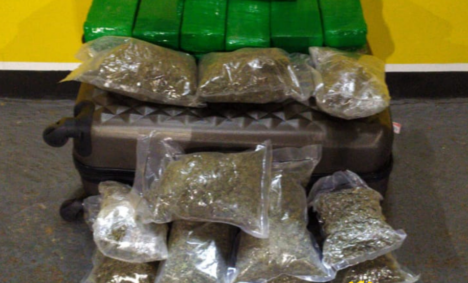 BPRv apreende mais de 15 quilos de maconha ao abordar ônibus que ia para São Paulo