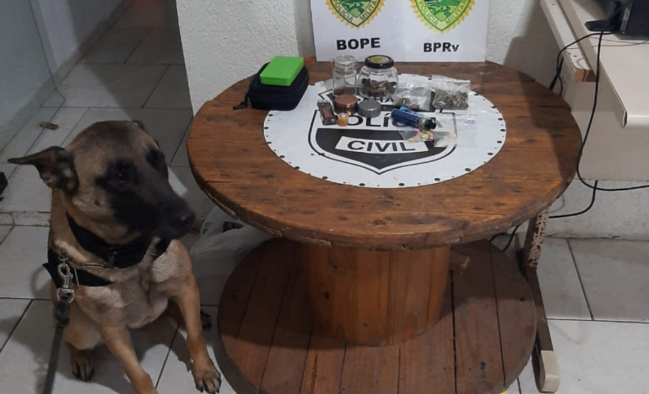 BPRv apreende mais de 380 quilos de maconha e recupera 27 toneladas de arroz durante o feriado de Finados