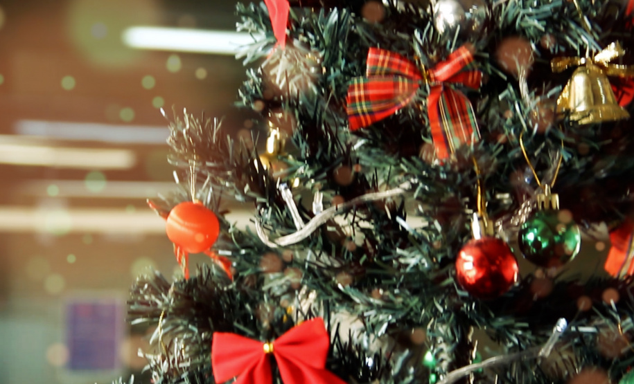 Sesp adere à campanha Natal Voluntário