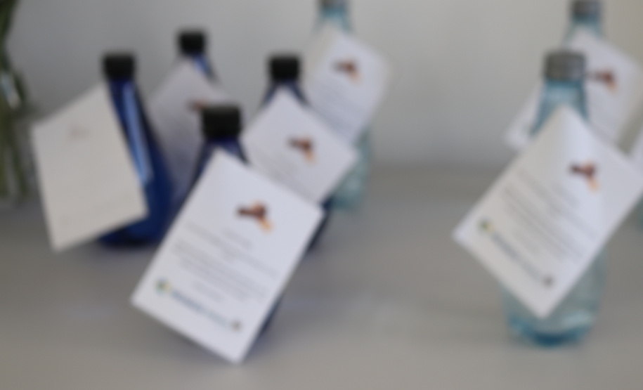 Profissionais de saúde mental que atuarão em programa da Segurança Pública recebem treinamento