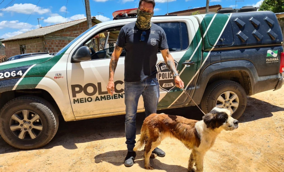 Polícia Civil prende suspeito de maus-tratos em Campo Largo