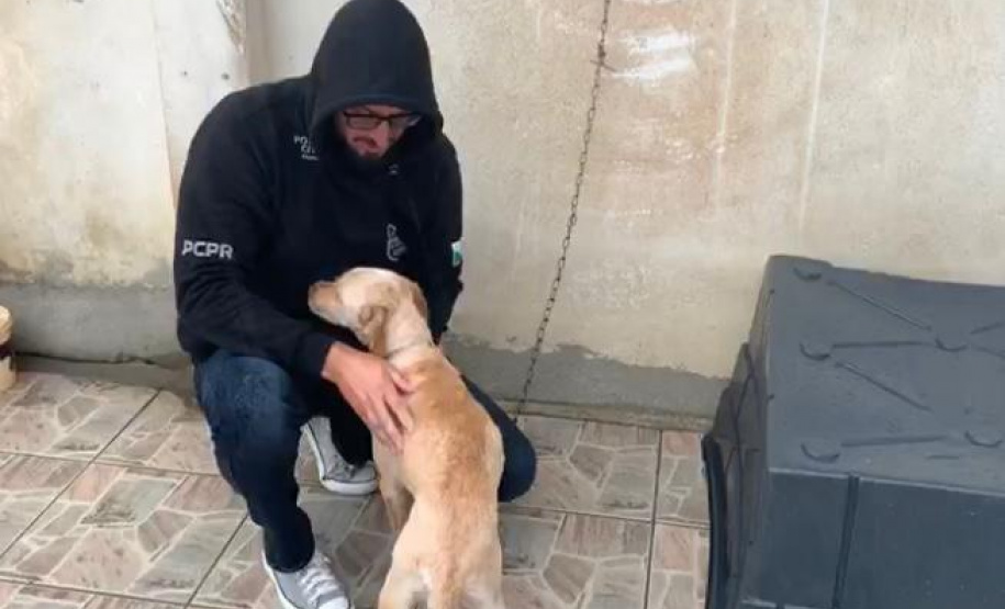 Polícia Civil prende homem por maus-tratos e resgata três animais em Curitiba