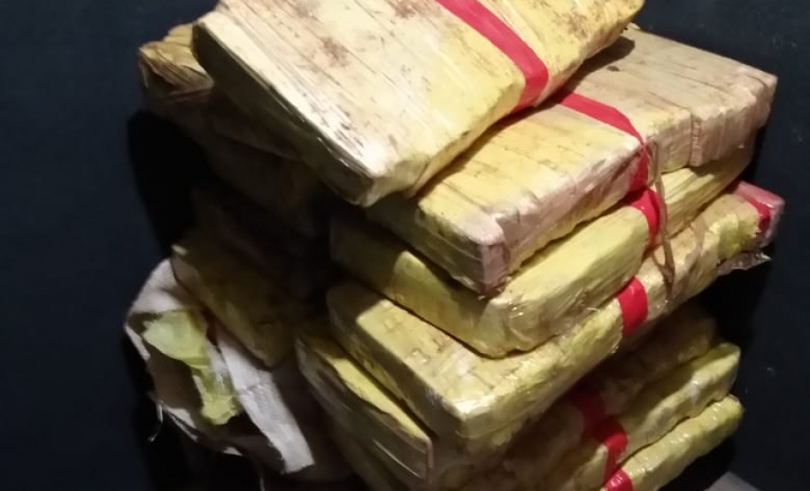 Mais de 200 quilos de maconha são apreendidos pela PM em Campo Mourão