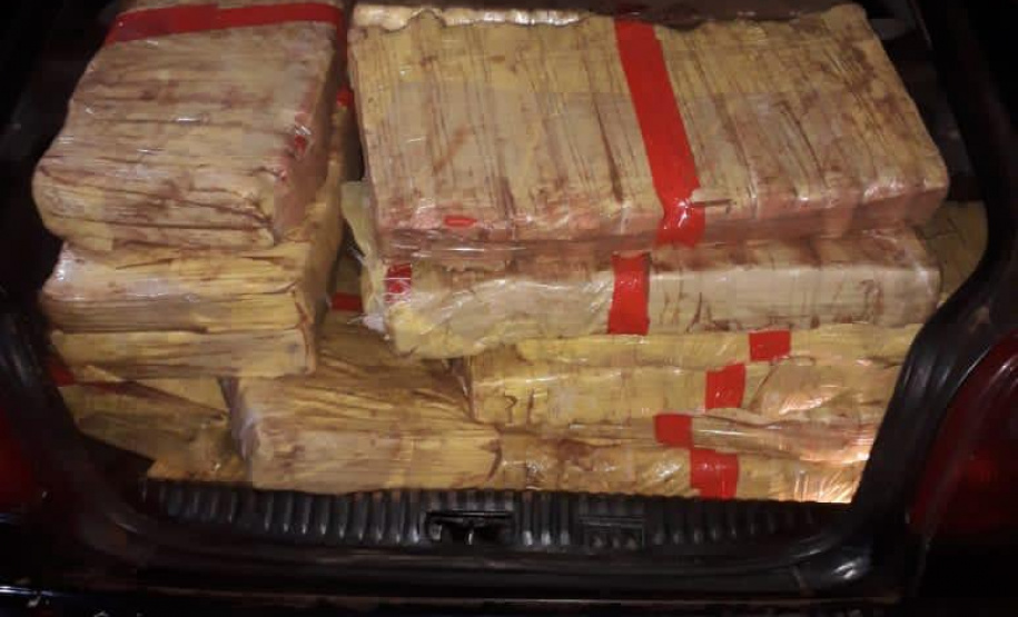 Mais de 200 quilos de maconha são apreendidos pela PM em Campo Mourão