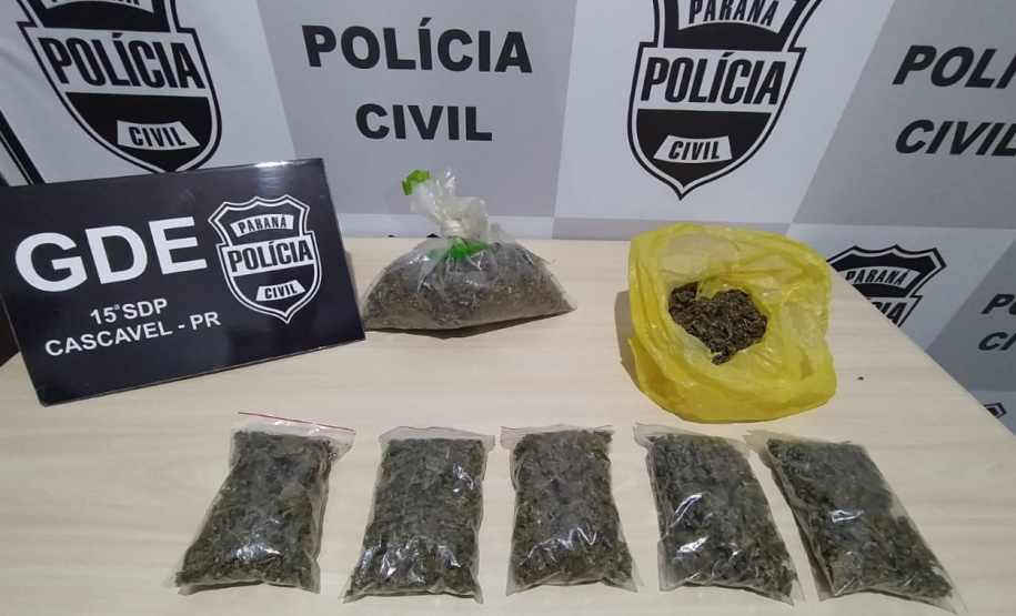 Polícia Civil prende nove pessoas suspeitas de envolvimento com o tráfico de drogas no Oeste