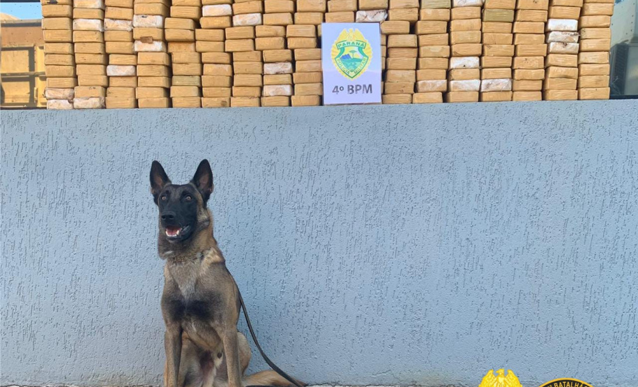 No Noroeste do estado, PM apreende mais de 200 quilos de crack e sete pessoas acabam presas em situações distintas