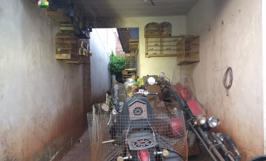 Polícia Ambiental apreende 10 armas de fogo e flagra desmatamento e caça ilegal no interior do Paraná