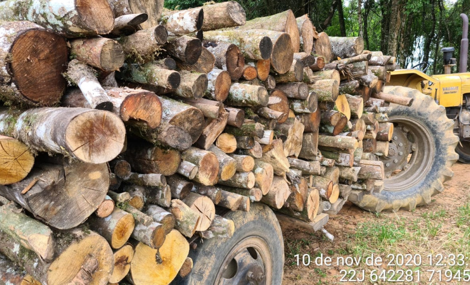 Polícia Ambiental apreende 10 armas de fogo e flagra desmatamento e caça ilegal no interior do Paraná