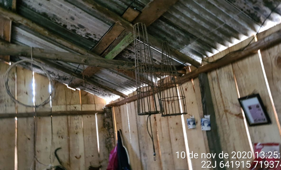 Polícia Ambiental apreende 10 armas de fogo e flagra desmatamento e caça ilegal no interior do Paraná