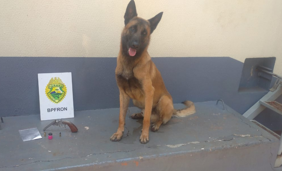 Abordagem a veículo em Santa Helena pelo BPFron termina com apreensão de cocaína e garrucha