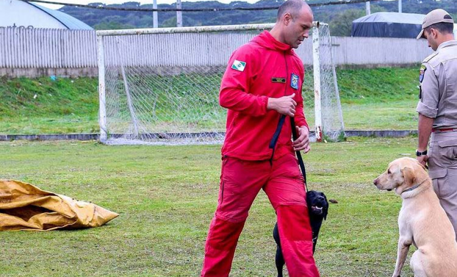 Bombeiros promovem certificação estadual de cães de busca e resgate