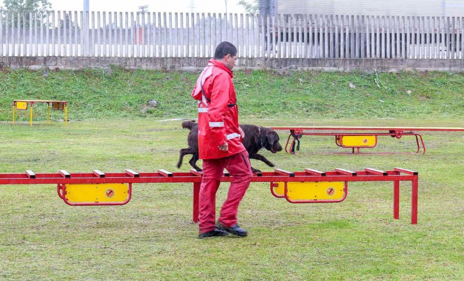 Bombeiros promovem certificação estadual de cães de busca e resgate