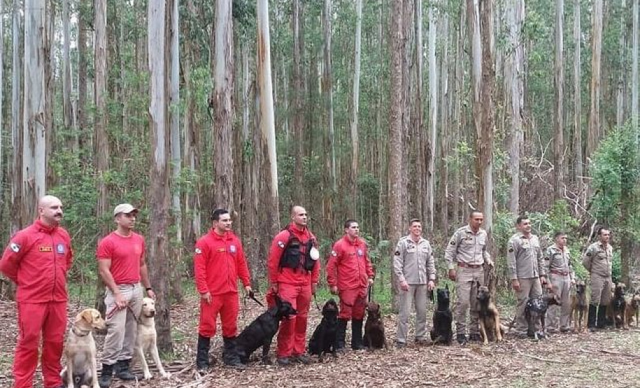 Bombeiros promovem certificação estadual de cães de busca e resgate