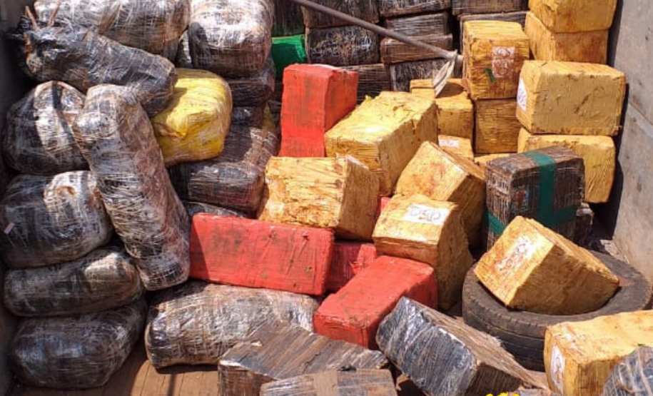 Operações com Cães do BPFron apreende mais de 2,5 toneladas de maconha em Santa Helena (PR)