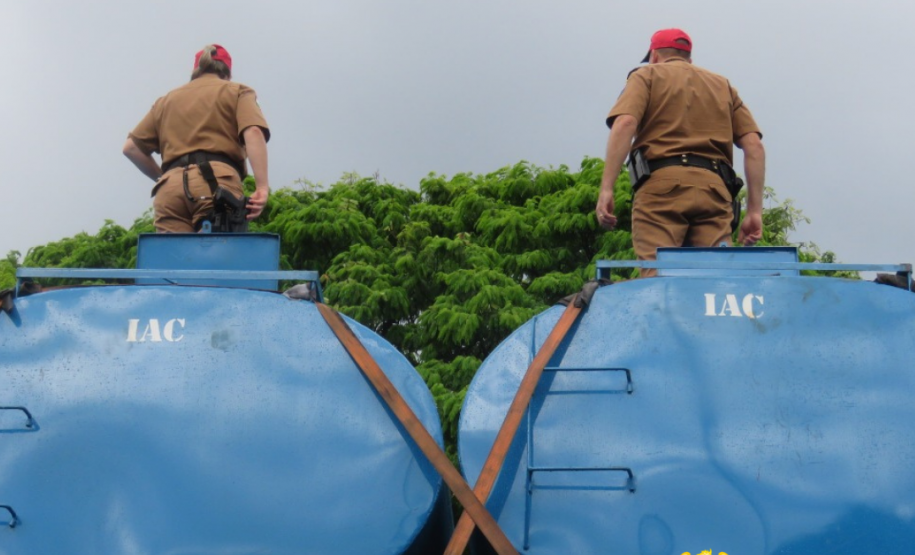 Operações com Cães do BPFron apreende mais de 2,5 toneladas de maconha em Santa Helena (PR)