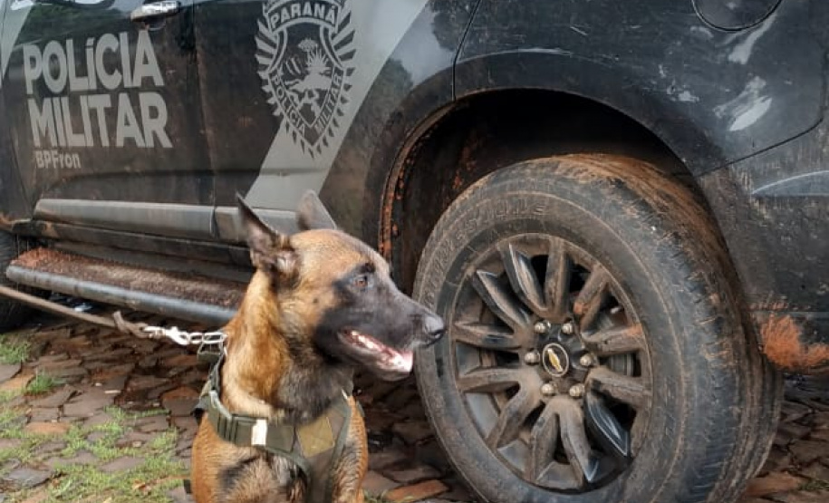 Ação conjunta das policias Militar e Civil pela Operação Sinergia resulta em dinheiro, carro e crack apreendidos em Santo Antônio do Sudoeste