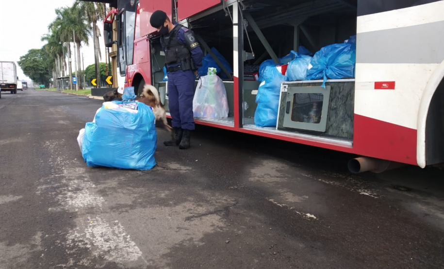 Operação policial conjunta resulta em prisões, apreensão de drogas e armas