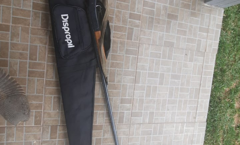 Na capital do Paraná, Polícia Ambiental resgata diversos pássaros silvestres, um deles ameaçado de extinção