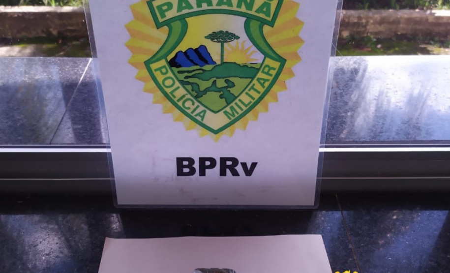 Cão de Faro do BPRv localiza maconha em Pontal do Paraná durante a Operação Vida