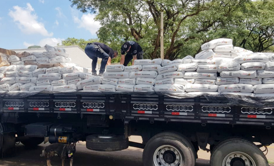 PCPR apreende mais de 3 toneladas de maconha em Maringá