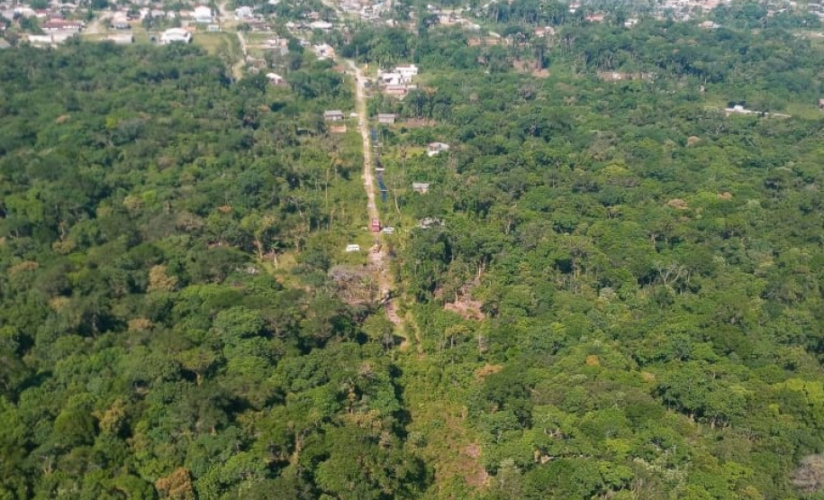 Polícia Ambiental identifica 13 pontos com corte de vegetação nativa em Guaratuba (PR)