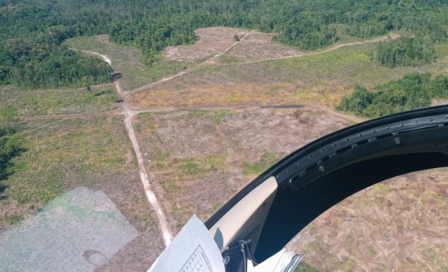 Polícia Ambiental identifica 13 pontos com corte de vegetação nativa em Guaratuba (PR)