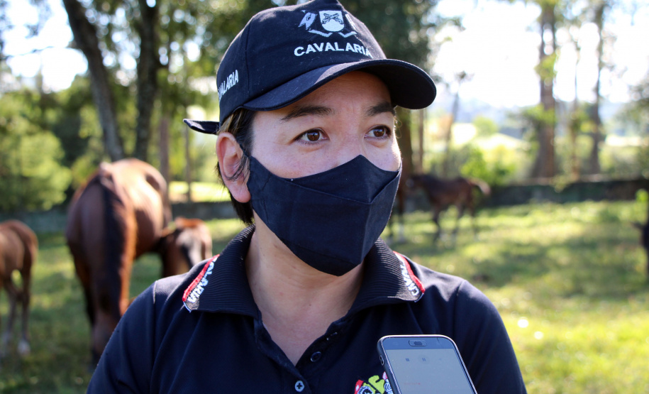 Regimento de Polícia Montada (RPMon) inicia treinamento de nove potros nascidos na unidade