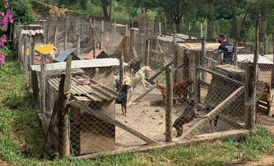 PCPR prende suspeita de maus-tratos em Quatro Barras
