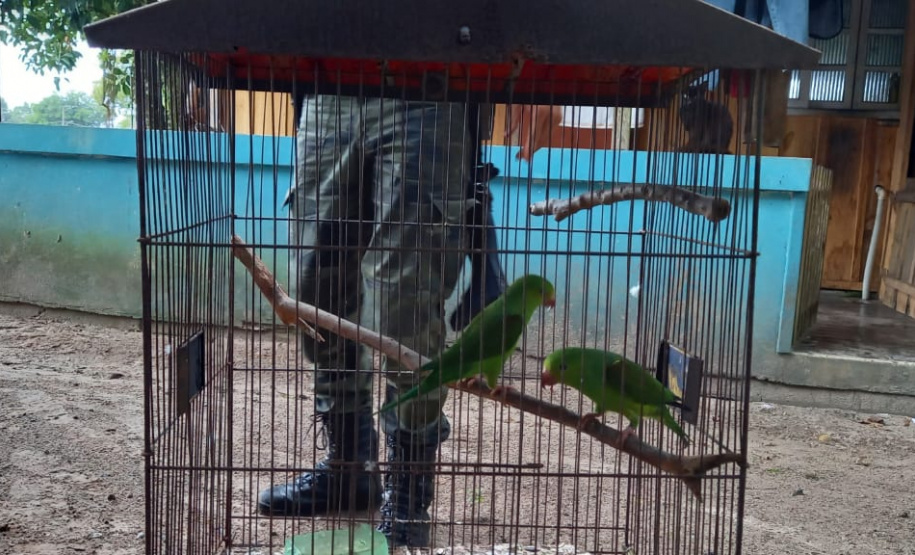Polícia Ambiental combate descarte de resíduos a céu aberto e resgata aves silvestres no Litoral
