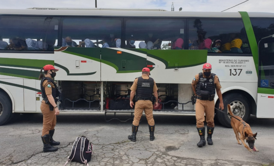 Cães do BPRv protagonizam apreensões de drogas no litoral durante Verão Consciente