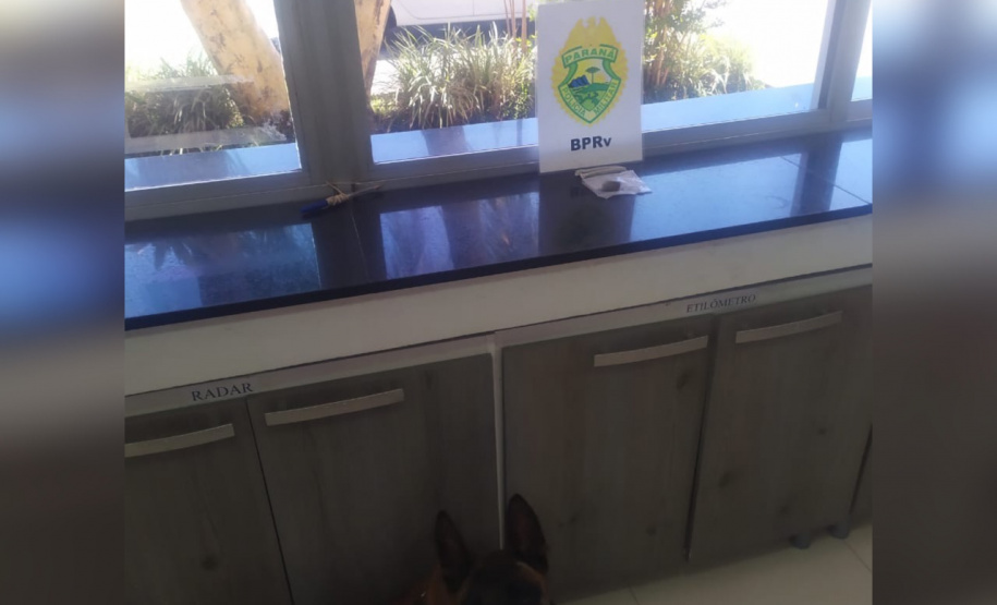Cães do BPRv protagonizam apreensões de drogas no litoral durante Verão Consciente