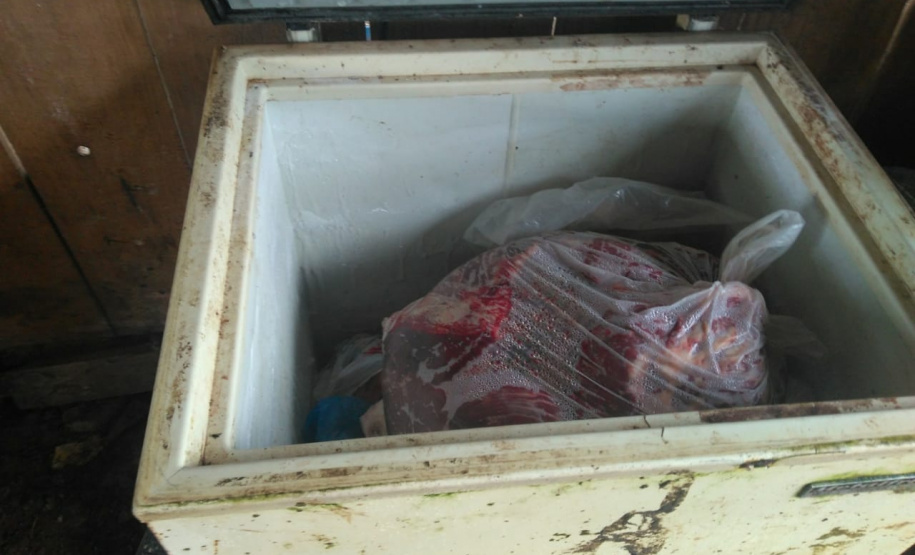 Abatedouro clandestino de cavalos é desmantelado pela PM em Quitandinha, no Sudeste do Paraná