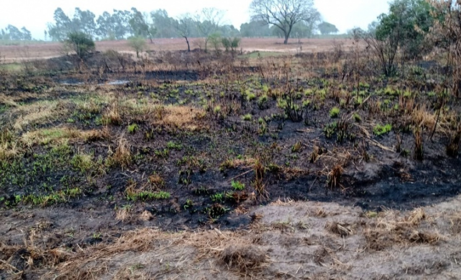 Polícia Ambiental reforça ações e atende 15 mil ocorrências em 2020