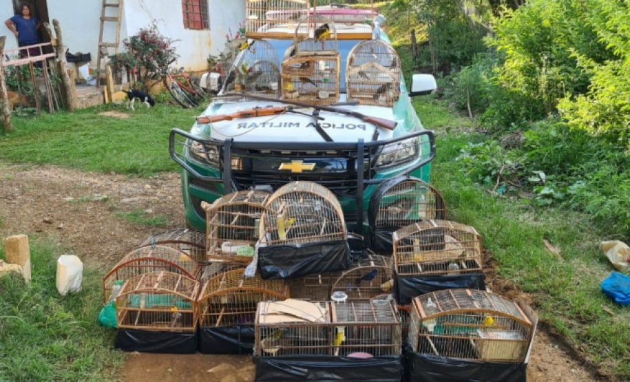 Polícia Ambiental reforça ações e atende 15 mil ocorrências em 2020