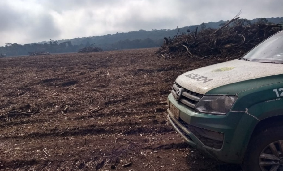 Polícia Ambiental reforça ações e atende 15 mil ocorrências em 2020