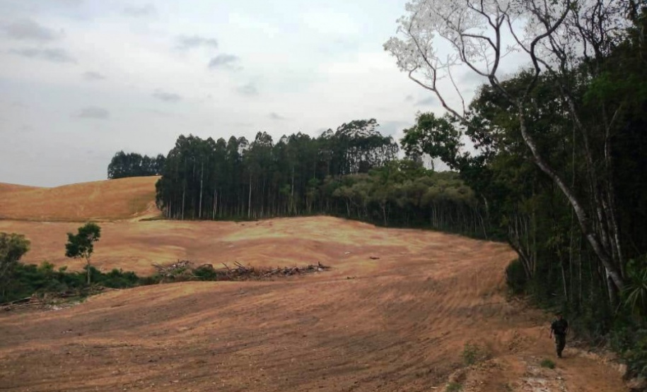 Polícia Ambiental reforça ações e atende 15 mil ocorrências em 2020