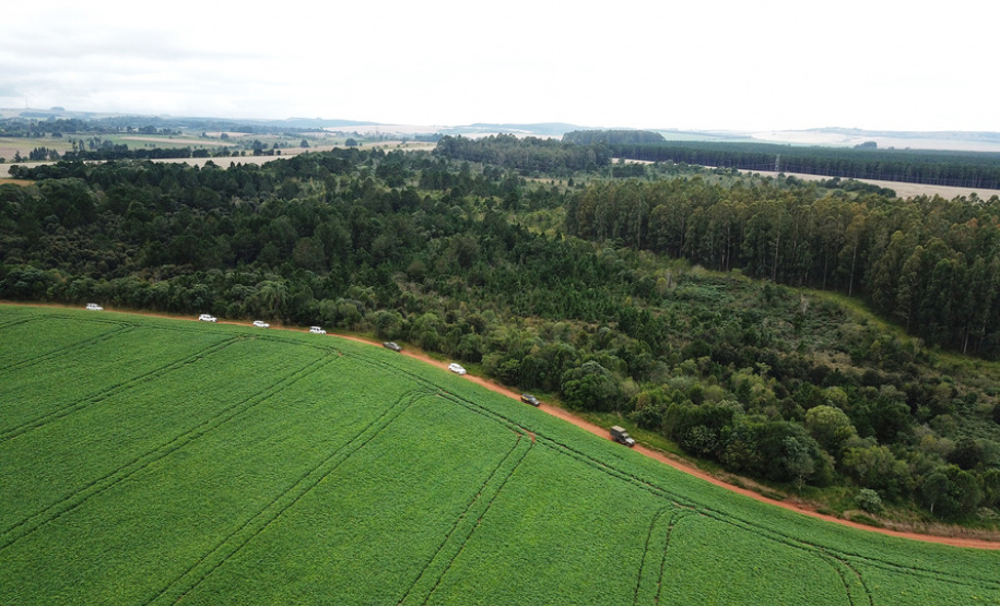 Exército vistoria área em Ponta Grossa que pode sediar Escola de Sargentos das Armas