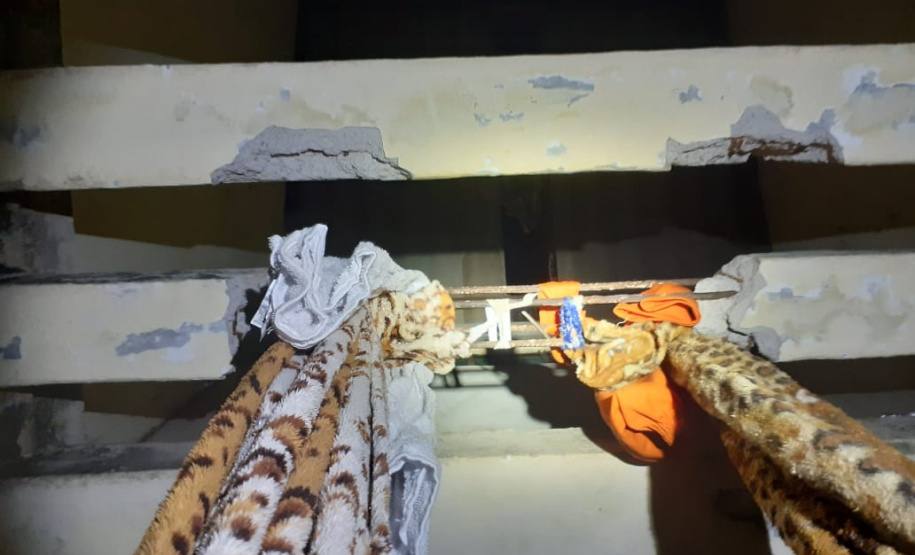 Agentes penitenciários impedem fuga de quatro presos da PECO