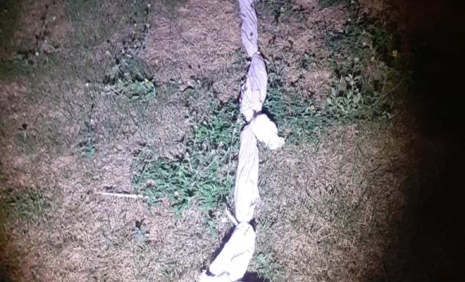 Agentes penitenciários impedem fuga de quatro presos da PECO