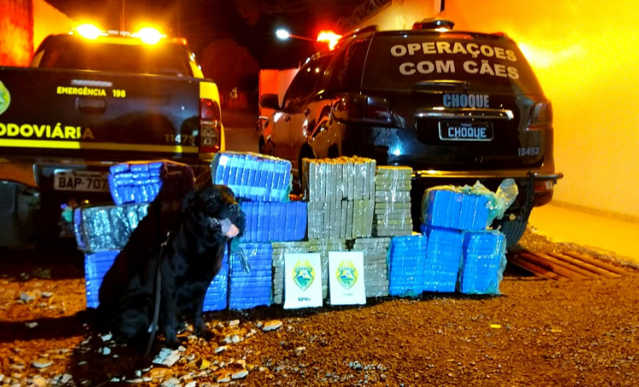 No Noroeste do Paraná, PM encaminha quatro pessoas por crimes diversos e apreende mais de 200 kg de maconha, em ocorrências separadas