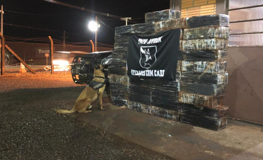 Quase uma tonelada de maconha é apreendida pelo BPFron em Entre Rios do Oeste (PR)