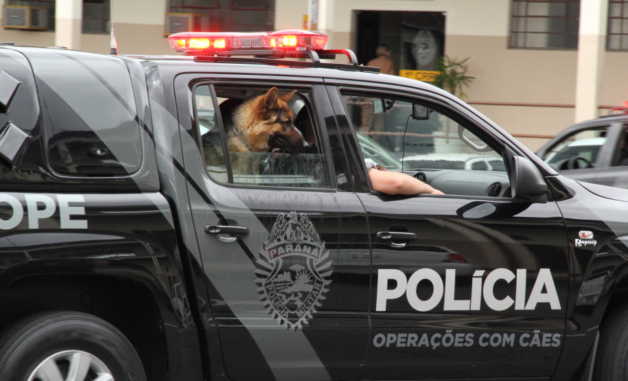Apreensão de drogas com uso de cães da PM aumenta em quase 1.000% no Paraná