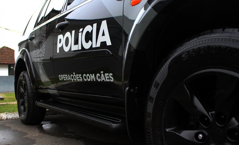 Apreensão de drogas com uso de cães da PM aumenta em quase 1.000% no Paraná