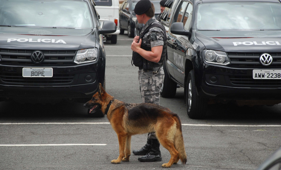 Apreensão de drogas com uso de cães da PM aumenta em quase 1.000% no Paraná