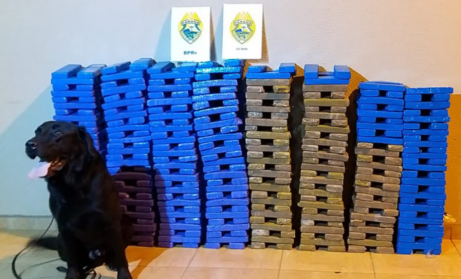 Apreensões de drogas aumentam quase 150% no primeiro trimestre