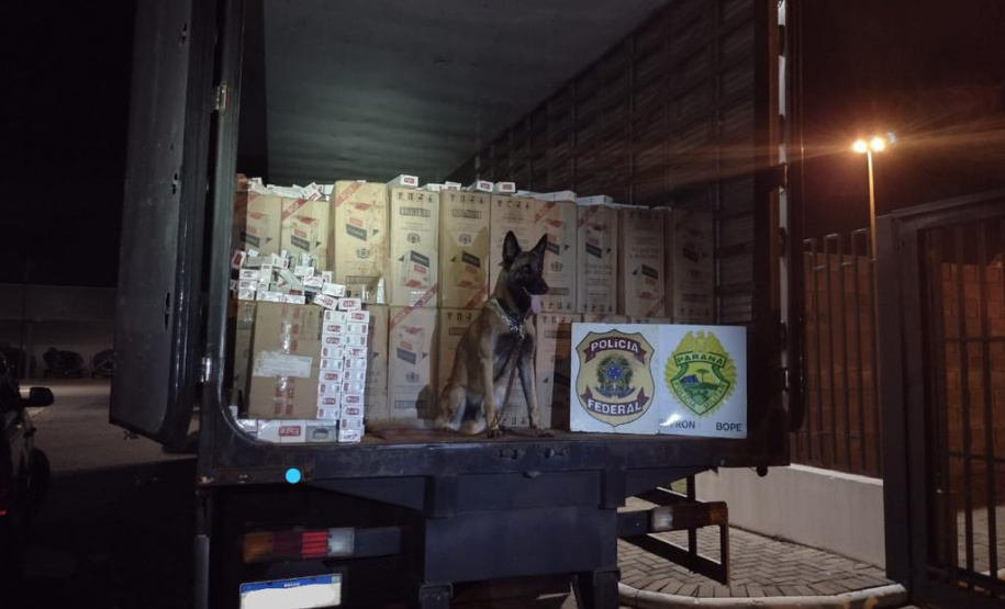 Durante Operação Hórus, cerca de R$ 1 milhão em cigarros contrabandeados é apreendido em Altônia e Guaíra, na região fronteiriça do estado