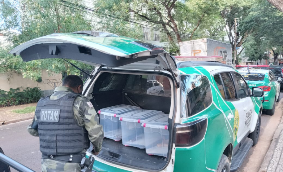 Batalhão ambiental e IAT resgatam animais silvestres de cativeiro ilegal e aplicam autuação de R$ 14,7 mil, no Norte do Paraná