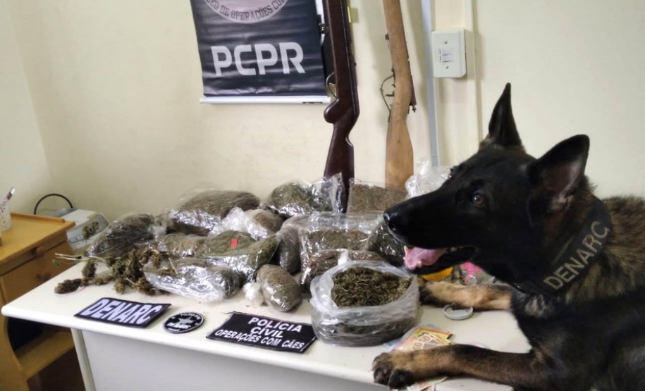 Polícia Civil prende 12 integrantes de organização criminosa nos Campos Gerais