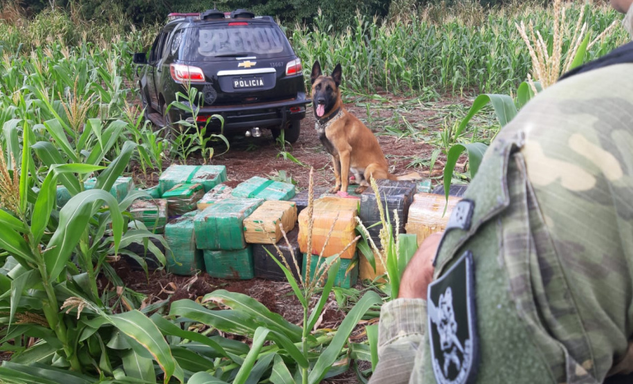Mais de 1,3 tonelada de maconha é apreendida durante Operação Hórus, no Oeste do Paraná